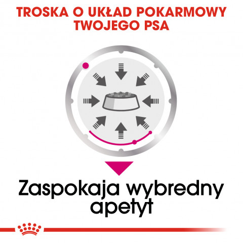 ROYAL CANIN Exigent Mokré krmivo pro psy Paštika 12x85 g - Fotogalerie 4