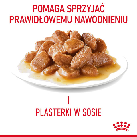 ROYAL CANIN FCN Hairball Care kousky v omáčce - mokré krmivo pro kočky - 12x85 g - Fotogalerie 12