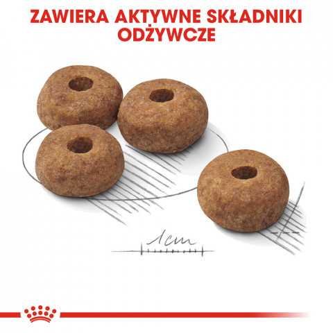 ROYAL CANIN Medium Sterilised suché krmivo pro psy - 3 kg - Fotogalerie 3