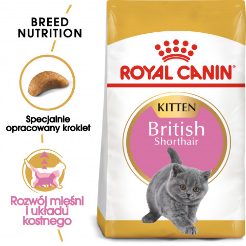 Royal Canin British Shorthair Kitten suché krmivo pro kočky 2 kg Kotě Drůbež, Rýže, Zeleninová - Fotogalerie 8
