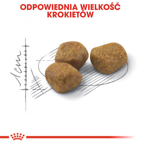 Royal Canin Regular Fit 32 suché krmivo pro kočky 400 g Dospělý jedinec Kukuřice, Drůbež - Fotogalerie 6