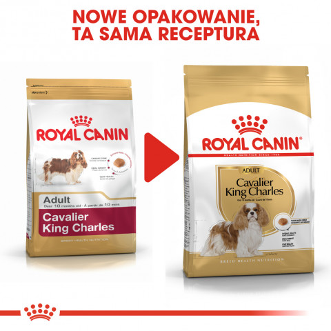 Krmivo Royal Canin SHN Breed Cavalier K C 1,5 kg - Fotogalerie 2