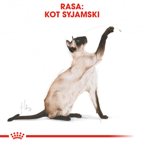 ROYAL CANIN Siamese Adult - suché krmivo pro kočky - 2 kg - Fotogalerie 7