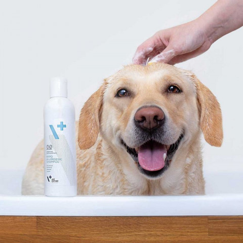 VET EXPERT Hypoallergenic Shampoo - šampon pro psy a kočky - 250ml - Fotogalerie 2
