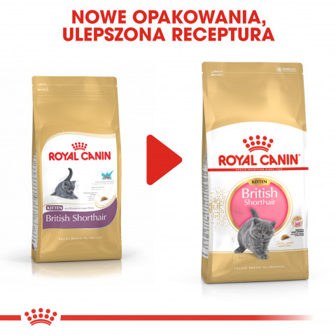 Royal Canin British Shorthair Kitten suché krmivo pro kočky 2 kg Kotě Drůbež, Rýže, Zeleninová - Fotogalerie 4