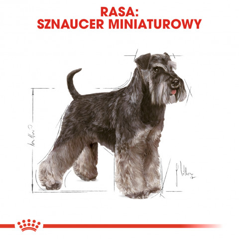 ROYAL CANIN Miniature Schnauzer Adult - suché krmivo pro psy - 3 kg - Fotogalerie 7