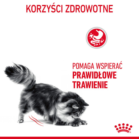 ROYAL CANIN Digestive Care Adult - suché krmivo pro kočky - 400g - Fotogalerie 6