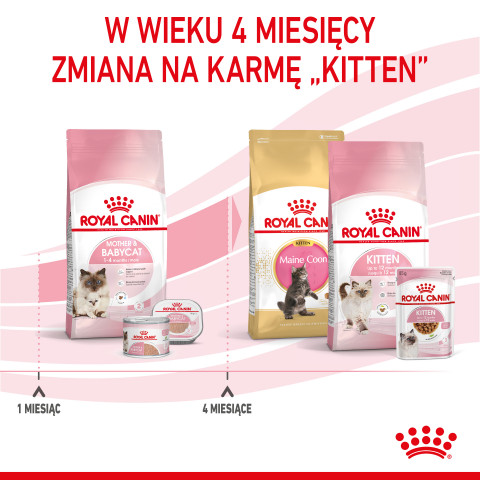 Royal Canin Mother & Babycat 34 suché krmivo pro kočky 0,4 kg - Fotogalerie 2