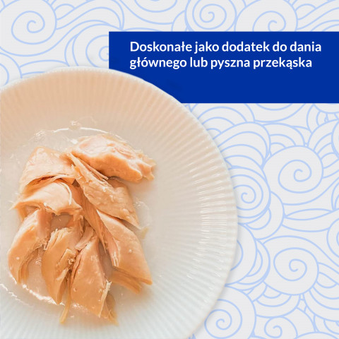 INABA Grilled Chicken Extra tender fillet in scallop flavored broth - pamlsek pro kočky - 25 g - Fotogalerie 7