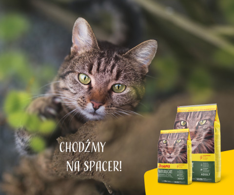 Josera NatureCat suché krmivo pro kočky 2 kg Dospělý jedinec Drůbež, Losos - Fotogalerie 3
