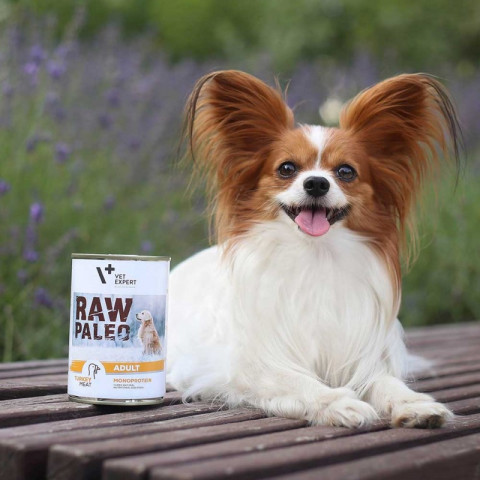 RAW PALEO Adult Monoprotein Turkey - vlhké krmivo pro psy - 400 g - Fotogalerie 4
