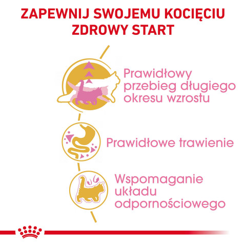 ROYAL CANIN Maine Coon Kitten - suché krmivo pro kočky - 2 kg - Fotogalerie 5