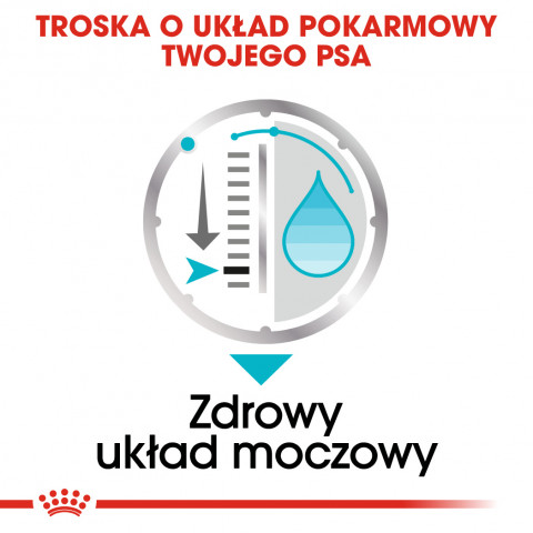 Royal Canin CCN Urinary Care Loaf - mokré krmivo pro dospělé psy - 12x85g - Fotogalerie 4