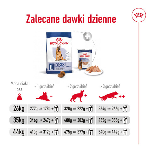 ROYAL CANIN Maxi Adult 5+ - suché krmivo pro psy - 15 kg - Fotogalerie 5