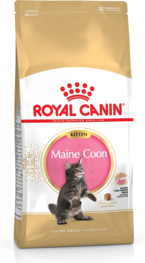 ROYAL CANIN Maine Coon Kitten - suché krmivo pro kočky - 4 kg - Fotogalerie 10