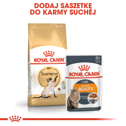 ROYAL CANIN Siamese Adult - suché krmivo pro kočky - 2 kg - Fotogalerie 4