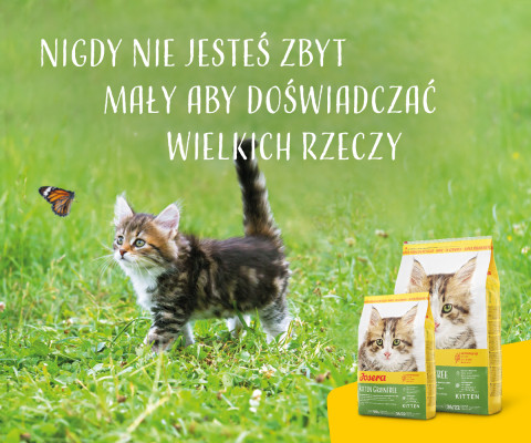 Josera 4032254755012 suché krmivo pro kočky 400 g Kotě Drůbež - Fotogalerie 5