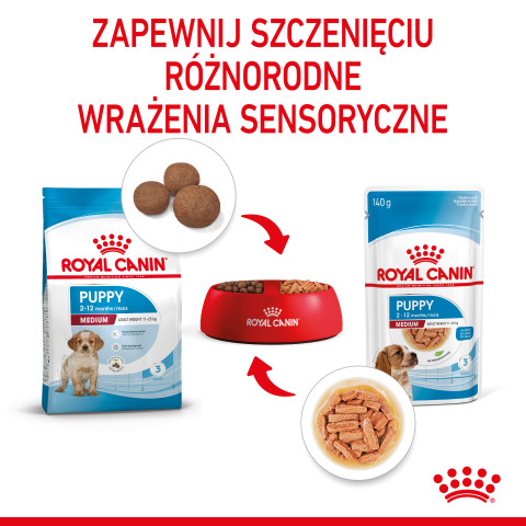 ROYAL CANIN SHN Medium Puppy in sauce - mokré krmivo pro štěňata - 10x140g - Fotogalerie 4