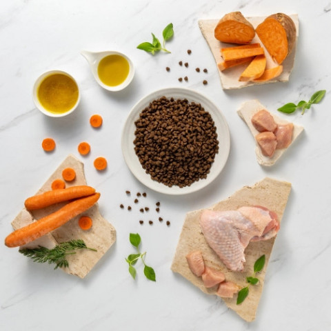 RAW PALEO Ultra Mini Puppy Turkey - suché krmivo pro štěňata - 750 g - Fotogalerie 3