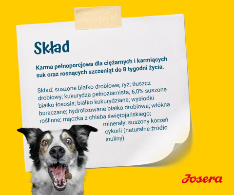 JOSERA Family Plus Puppy - suché krmivo pro psy - 12,5kg - Fotogalerie 2
