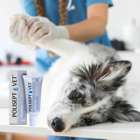 JM SANTE Polisept Vet Wound gel Silver Pro - gelový obvaz pro psy a kočky – 30 ml - Fotogalerie 2
