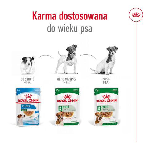 ROYAL CANIN Mini Adult - mokré krmivo pro psy - 12 x 85g - Fotogalerie 2