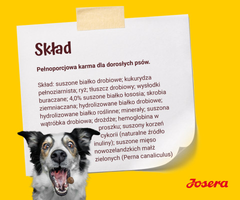 JOSERA Adult Festival - suché krmivo pro psy - 12,5 kg - Fotogalerie 2