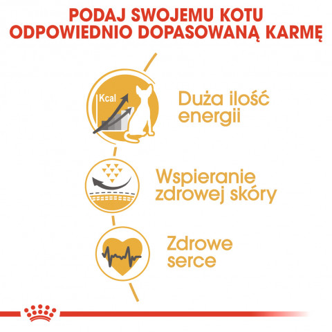 Royal Canin Sphynx suché krmivo pro kočky 2 kg - Fotogalerie 8