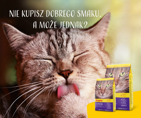 Josera 9310 suché krmivo pro kočky Dospělý Drůbež, Losos 10 kg - Fotogalerie 2