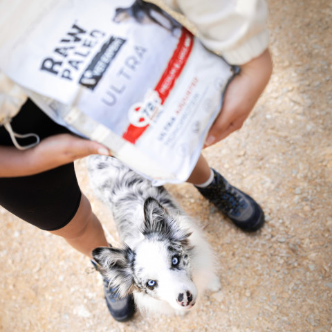 RAW PALEO Ultra Medium&Large Puppy Beef - suché krmivo pro štěňata - 10 kg - Fotogalerie 2