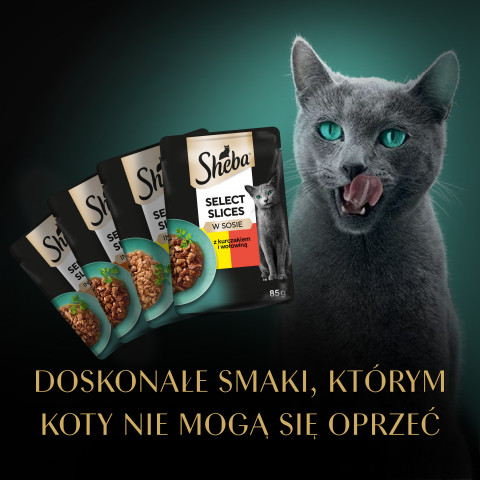 Sheba Selection in Sauce Šťavnaté příchutě 12 x 85 g - Fotogalerie 12
