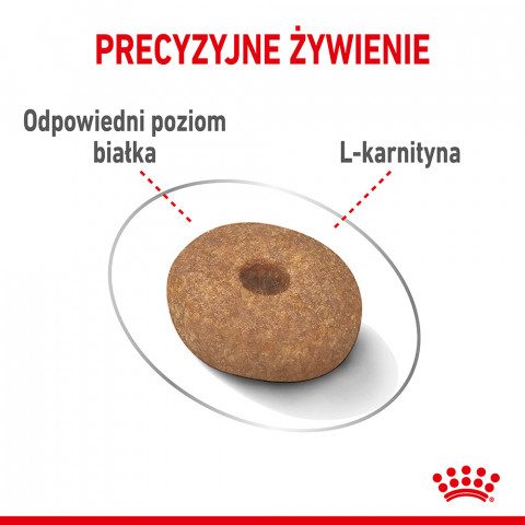 Royal Canin CCN MINI LIGHT WEIGHT CARE - suché krmivo pro dospělé psy - 3kg - Fotogalerie 6