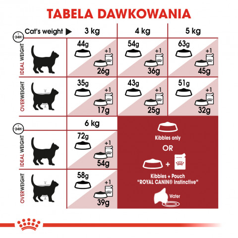 Royal Canin Regular Fit 32 suché krmivo pro kočky 400 g Dospělý jedinec Kukuřice, Drůbež - Fotogalerie 4