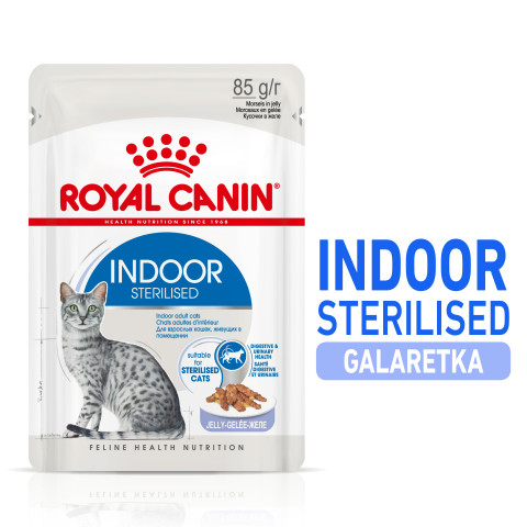 ROYAL CANIN FHN Indoor jelly - vlhké krmivo pro dospělé kočky - 12x85g - Fotogalerie 11