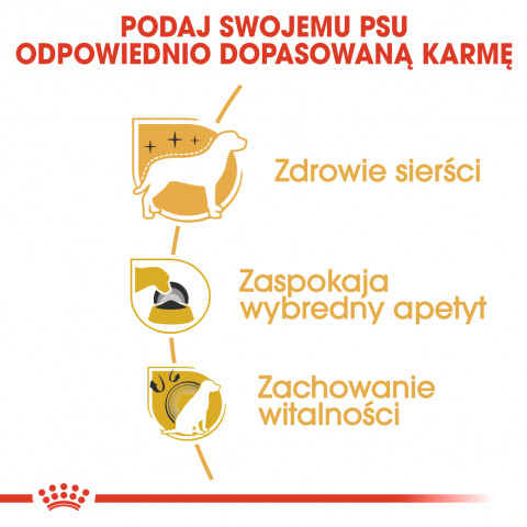 ROYAL CANIN BHN Yorkshire Terrier Adult suché krmivo pro psy - 7,5 kg - Fotogalerie 5