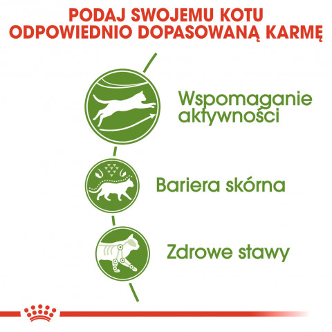 ROYAL CANIN Outdoor Adult - suché krmivo pro kočky - 400g - Fotogalerie 5