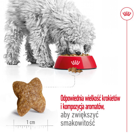 ROYAL CANIN Adult Mini S - suché krmivo pro psy - 8kg - Fotogalerie 2