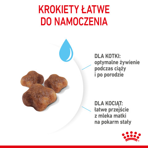 Royal Canin Mother & Babycat 34 suché krmivo pro kočky 0,4 kg - Fotogalerie 7