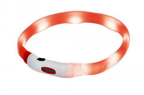 HILTON LED silikonový 1,4x0,8x40 cm s USB - obojek pro psy - Fotogalerie 1