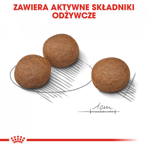 ROYAL CANIN CCN Medium Digestive Care - suché krmivo pro psy - 3 kg - Fotogalerie 4