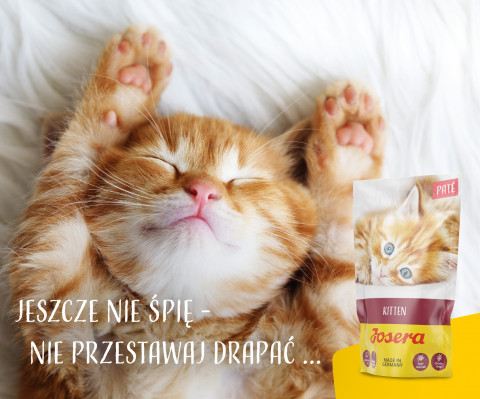 JOSERA Paštika kuřecí s mrkví - vlhké krmivo pro koťata - 85g - Fotogalerie 2