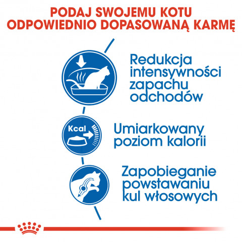 Royal Canin FHN Indoor - suché krmivo pro dospělé kočky - 4kg - Fotogalerie 3
