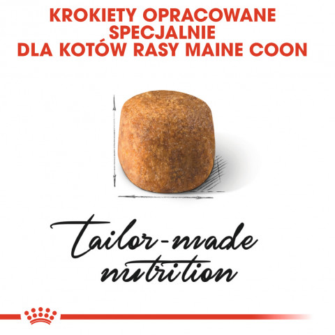 Royal Canin FBN Maine Coon Adult - suché krmivo pro dospělé kočky - 4kg - Fotogalerie 3