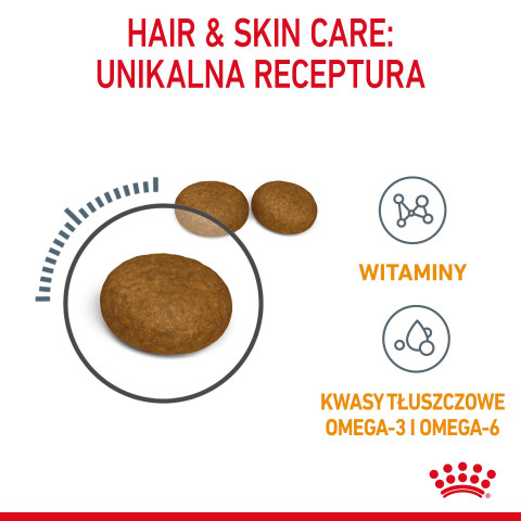 ROYAL CANIN Hair&Skin Care Adult - suché krmivo pro kočky - 400g - Fotogalerie 13