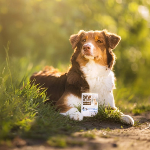 VET EXPERT Raw Paleo Adult Monoprotein Cod - vlhké krmivo pro psy - 400 g - Fotogalerie 4