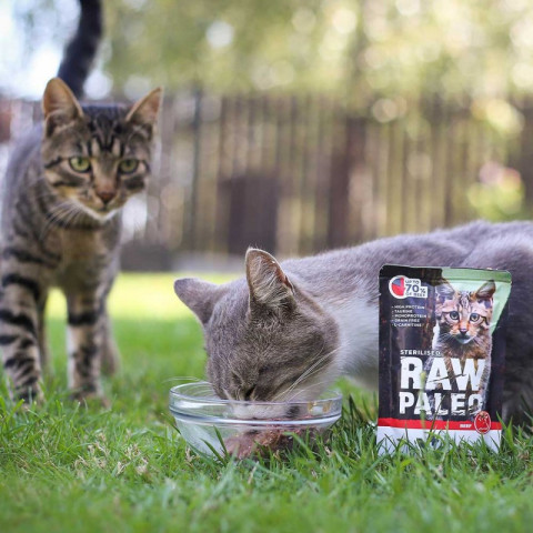 RAW PALEO Adult Cat Sterilized Beef - mokré krmivo pro kočky - 100 g - Fotogalerie 3