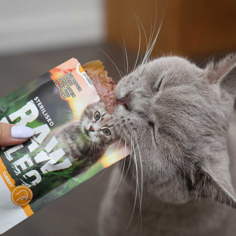 RAW PALEO Adult Cat Sterilized Turkey - mokré krmivo pro kočky - 100 g - Fotogalerie 3