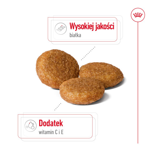 ROYAL CANIN Adult Medium - suché krmivo pro psy - 4kg - Fotogalerie 8