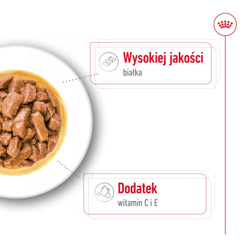 ROYAL CANIN SHN Medium Adult in sauce - vlhké krmivo pro dospělé psy - 10x140g - Fotogalerie 8