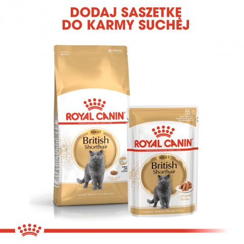 ROYAL CANIN British Shorthair balení 12x85g - Fotogalerie 2